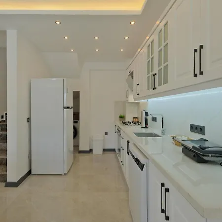Detached With Private Pool In Oeluedeniz, Willa