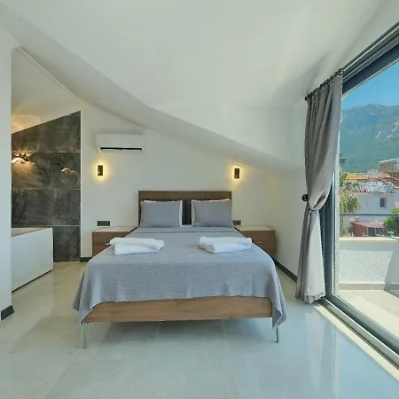 Detached With Private Pool In Oeluedeniz, Willa *