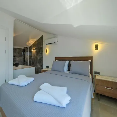 Detached With Private Pool In Oeluedeniz, Willa
